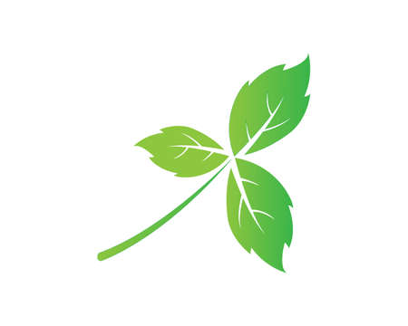 green leaf ecology nature element vector iconのイラスト素材