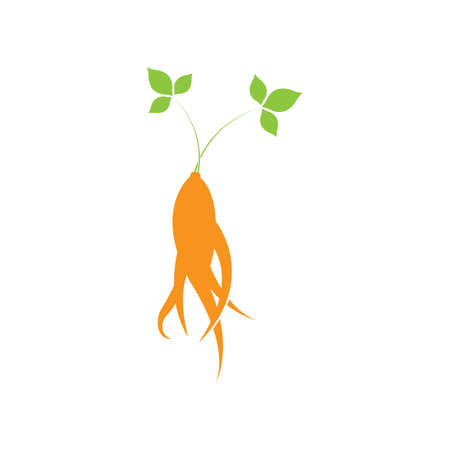 Ginseng vector icon illustration design templateのイラスト素材