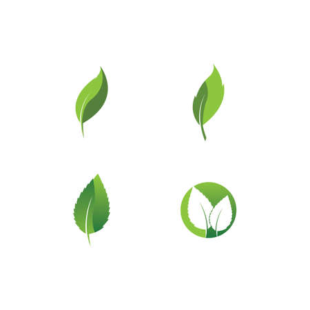 Eco icon green leaf vector illustration isolated. - Vectorのイラスト素材