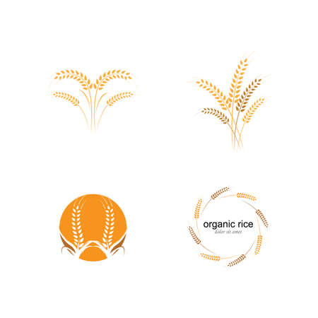 Agriculture wheat Logo Template vector icon designのイラスト素材