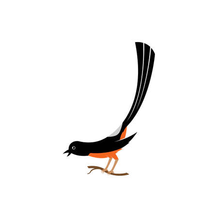Murai bird illustration logo vector templateのイラスト素材