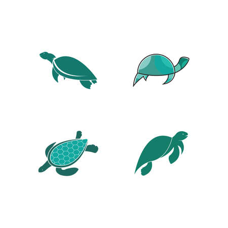 turtle animal cartoon icon image vector illustration designのイラスト素材