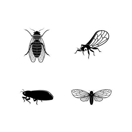 Cicada logo vector template illustration designのイラスト素材