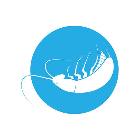 Cockroach logo. Isolated cockroach on white background