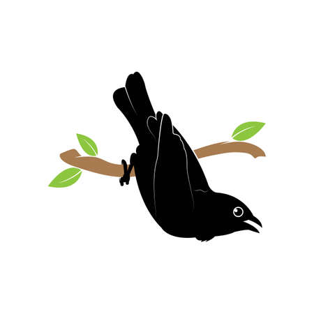 Bird Logo Template vector illustrationのイラスト素材
