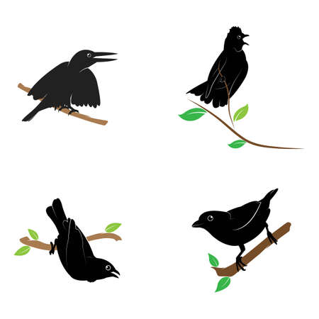 Bird Logo Template vector illustrationのイラスト素材