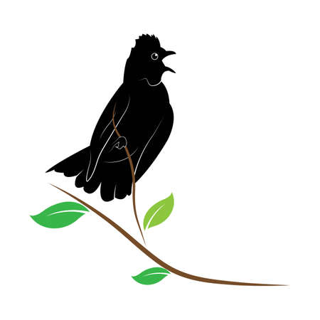 Bird Logo Template vector illustrationのイラスト素材