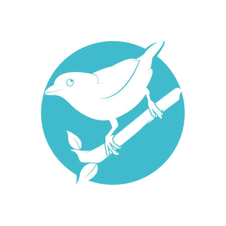 Bird Logo Template vector illustrationのイラスト素材