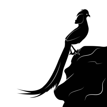 Cendrawasih bird logo vectorのイラスト素材