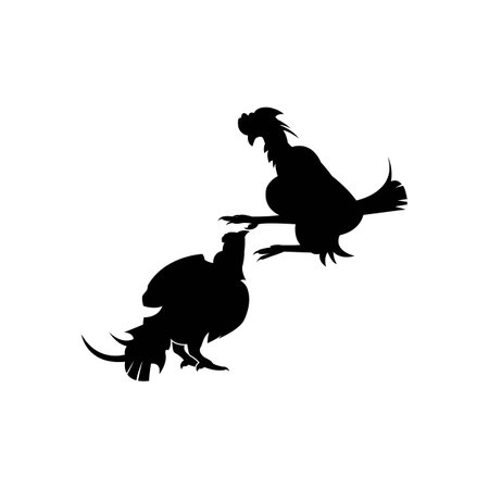 fighting cocks. Vector illustration isolated on white backgroundのイラスト素材