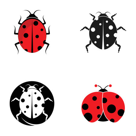 Ladybug. Insect ladybug, vector illustration designのイラスト素材
