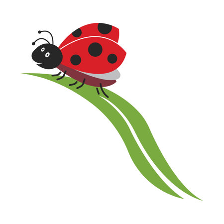 Ladybug vector. Ladybug on white background. wallpaper. symbol.のイラスト素材