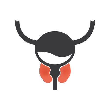 Prostatitis swelling and inflammation of prostate gland.Disease and pain in the human male body. Bladder anatomy concept. Medical flat vector illustration.のイラスト素材