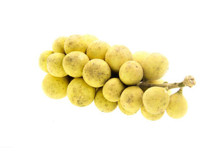 Wollongong on the white background.の写真素材