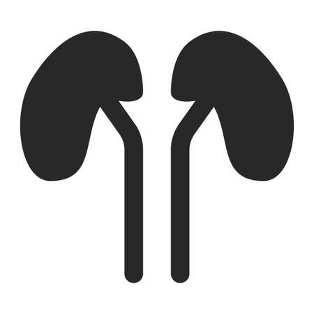 Icon Vector of Kidney - Glyph Style - Simple illustration, Editable stroke, Design template vector, Good for prints, posters, advertisements, announcements, info graphics, etc.のイラスト素材