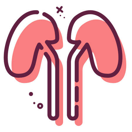 Icon Vector of Kidney - MBE Style - Simple illustration, Editable stroke, Design template vector,...