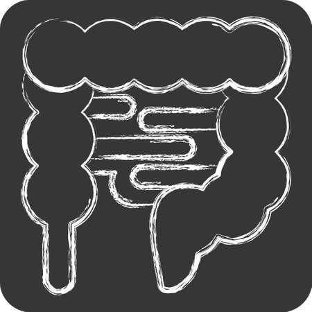 Icon Intestine. related to Human Organ symbol. chalk Style. simple design editable. simple illustrationのイラスト素材