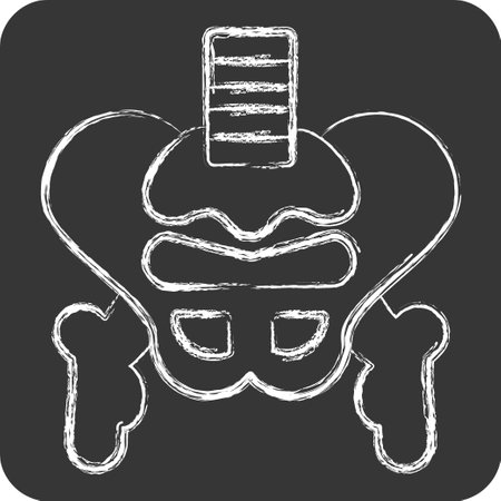 Icon Pelvis. related to Human Organ symbol. chalk Style. simple design editable. simple illustrationのイラスト素材