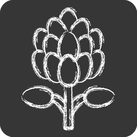 Icon King Protea. related to South Africa symbol. chalk Style. simple design illustrationのイラスト素材