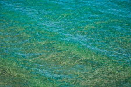 Photo of the Relaxing with beautiful texture mustの写真素材