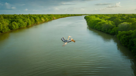Pelican soars over the river surrounded by lush green trees on a sunny dayの素材