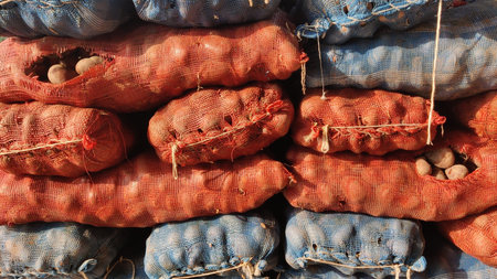 Potato sacks arranged in order at local vegetable market for saleの写真素材