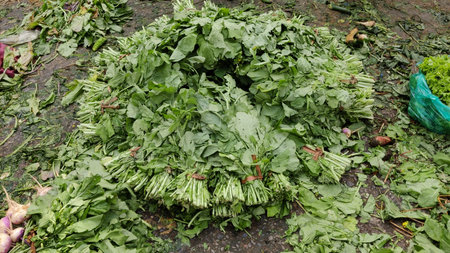 Spinach displayed on market floor at Islamabad vegetable mandi showing handling and food condition