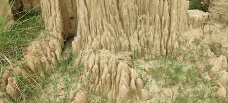 close up view of eroded soil formations with sparse green vegetation scattered aroundの写真素材
