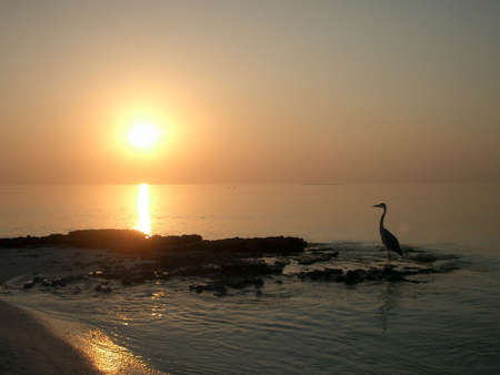 sunset in islandの写真素材