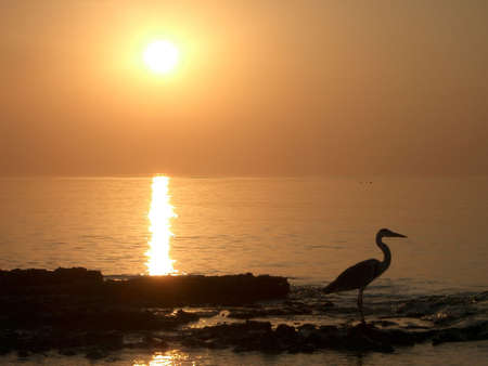 sunset in islandの写真素材