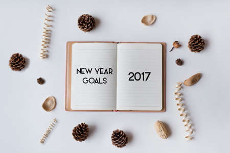 Conceptual,notebook on a with table. open diary with New Year Goals 2017 words の写真素材