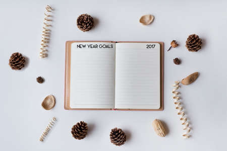 Conceptual,notebook on a with table. open diary with New Year Goals Words 2017の写真素材