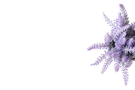 Lavender top on white table backgroundの写真素材