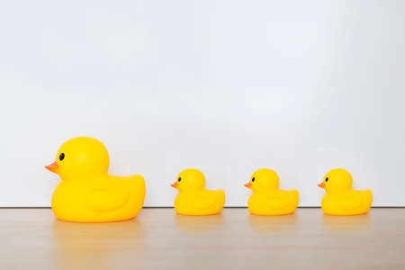 Duck, toy isolated with white background. Leadership concept.の写真素材