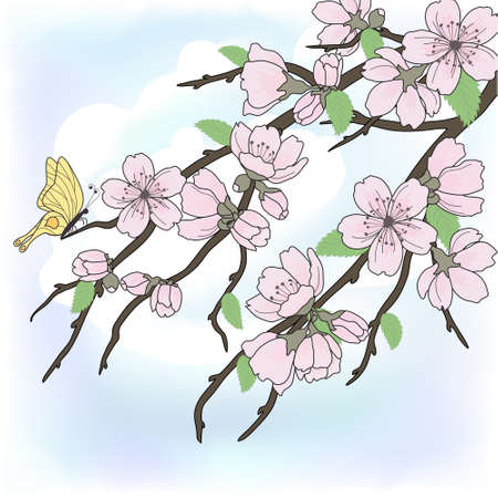 Beautiful vector sakura branch with flowers on skyのイラスト素材