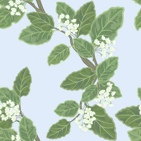 Seamless vector floral pattern with flowering branchのイラスト素材