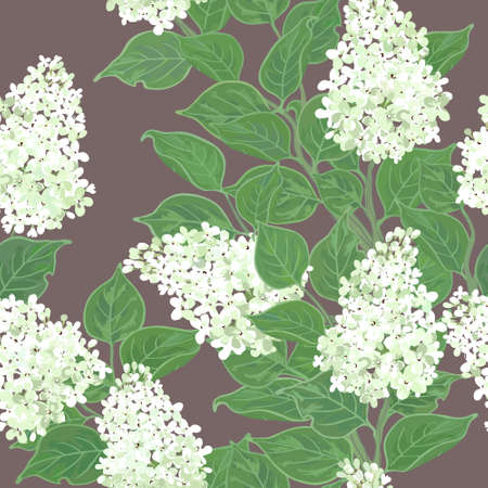 Seamless floral pattern with flowering white lilacのイラスト素材