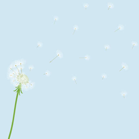 Cute blow dandelion on blue backgroundのイラスト素材