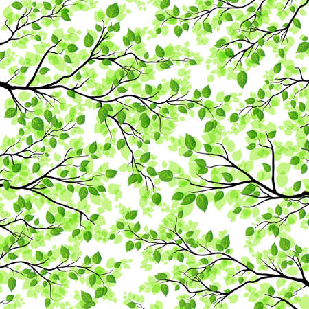 floral background with fresh branches and leavesのイラスト素材