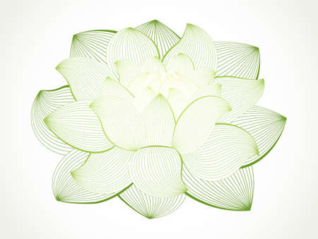 lotus flower isolated on white, line drawingのイラスト素材