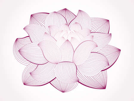 lotus flower isolated on white, line drawingのイラスト素材