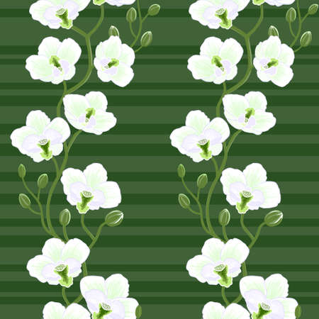 Seamless floral wallpaper with branch of orchid flowersのイラスト素材
