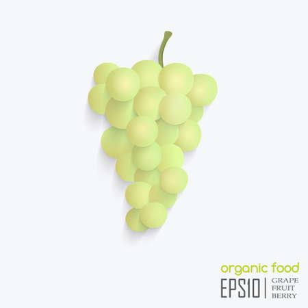 Realistic vector illustration of isolated grape. organic food.のイラスト素材