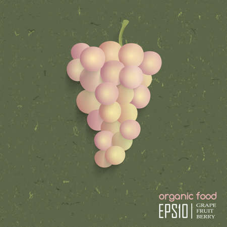Realistic vector illustration of isolated grape. organic food.のイラスト素材