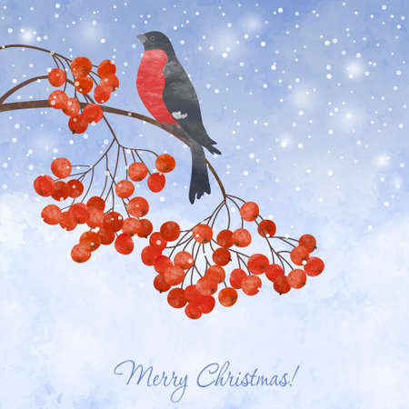 Winter watercolor  card  with bullfinch on a branch of rowanのイラスト素材