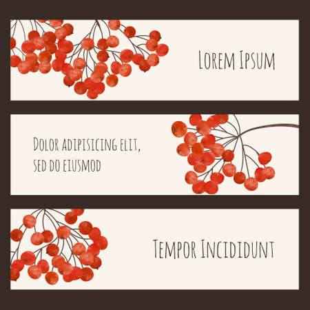 Set of stickers with branches rowan berry to corporate identity or  design  business cardsのイラスト素材