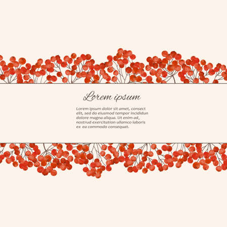 Beautiful watercolor hand painting illustration  with  branches rowan berryのイラスト素材