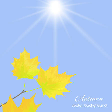 Beautiful  illustration  with gold autumn leaves  against the skyのイラスト素材