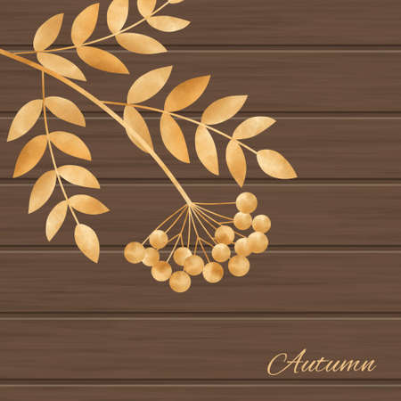 Beautiful  illustration  with autumn leaves  and rowanberryのイラスト素材