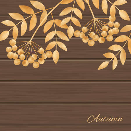 Beautiful  illustration  with autumn leaves  and rowanberryのイラスト素材